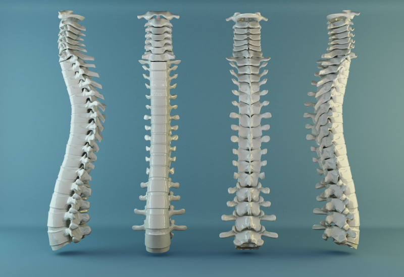 Osteoporosi, nuovi farmaci e metabolismo osseo 