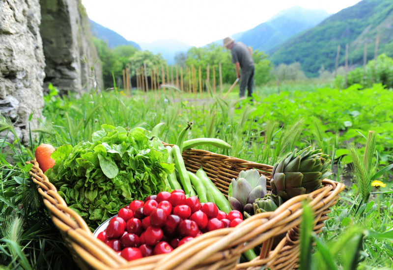 L'agricoltura biologica