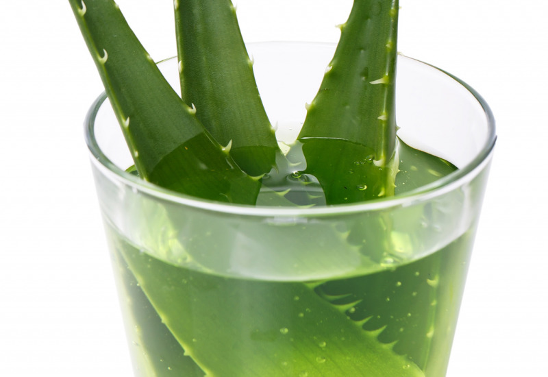 Aloe Vera benefici e proprietà